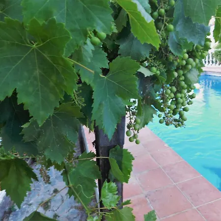Bungalow Marbella (San Pedro Alcantara) Lägenhet Marbella