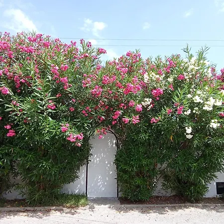 Apartamento Bungalow Marbella (San Pedro Alcantara) Marbella